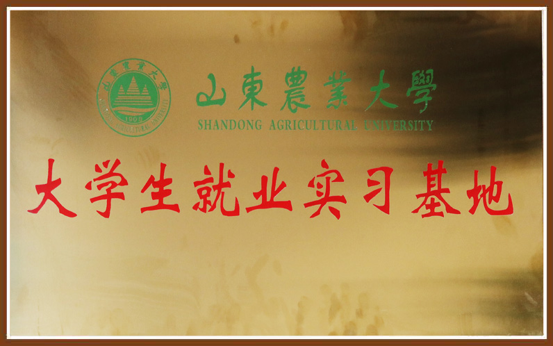 九五至尊VI-老品牌值得信任!