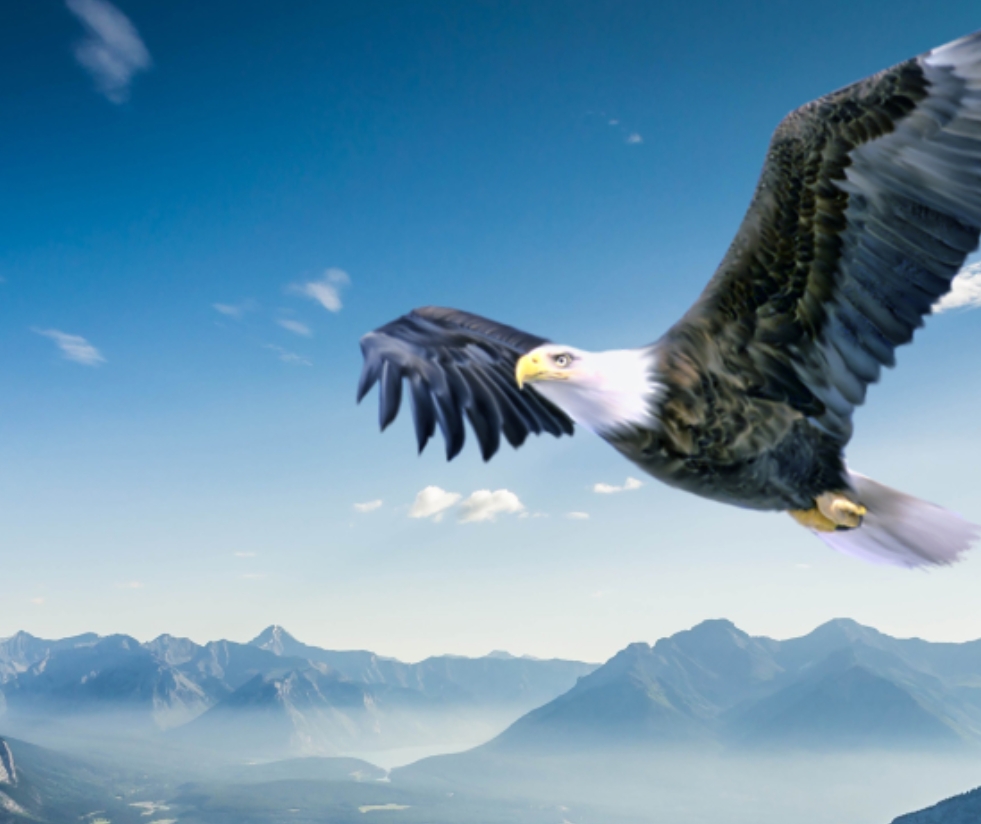 九五至尊VI-老品牌值得信任!