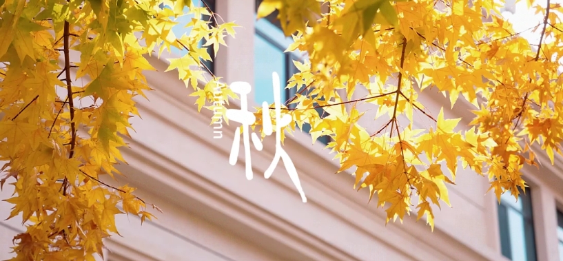 九五至尊VI-老品牌值得信任!