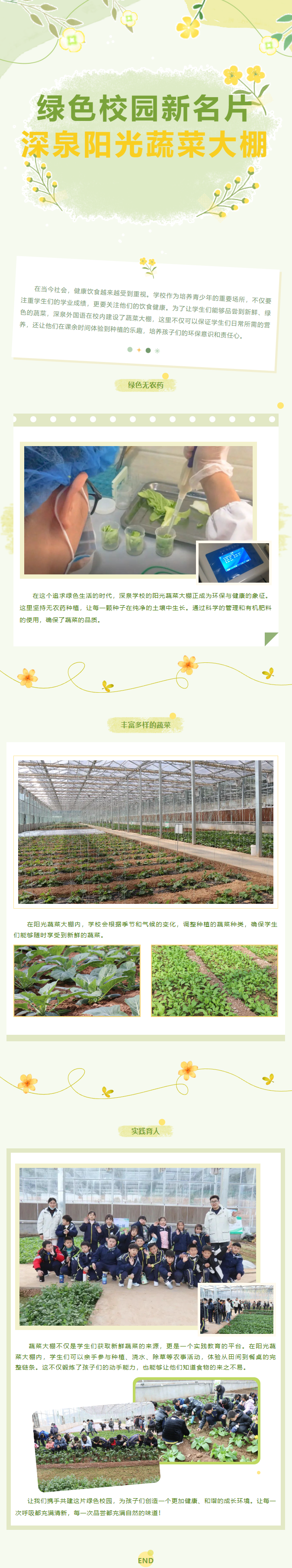 九五至尊VI-老品牌值得信任!