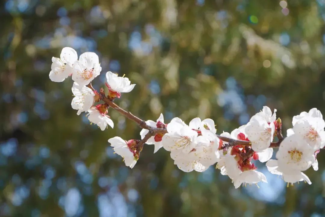 九五至尊VI-老品牌值得信任!