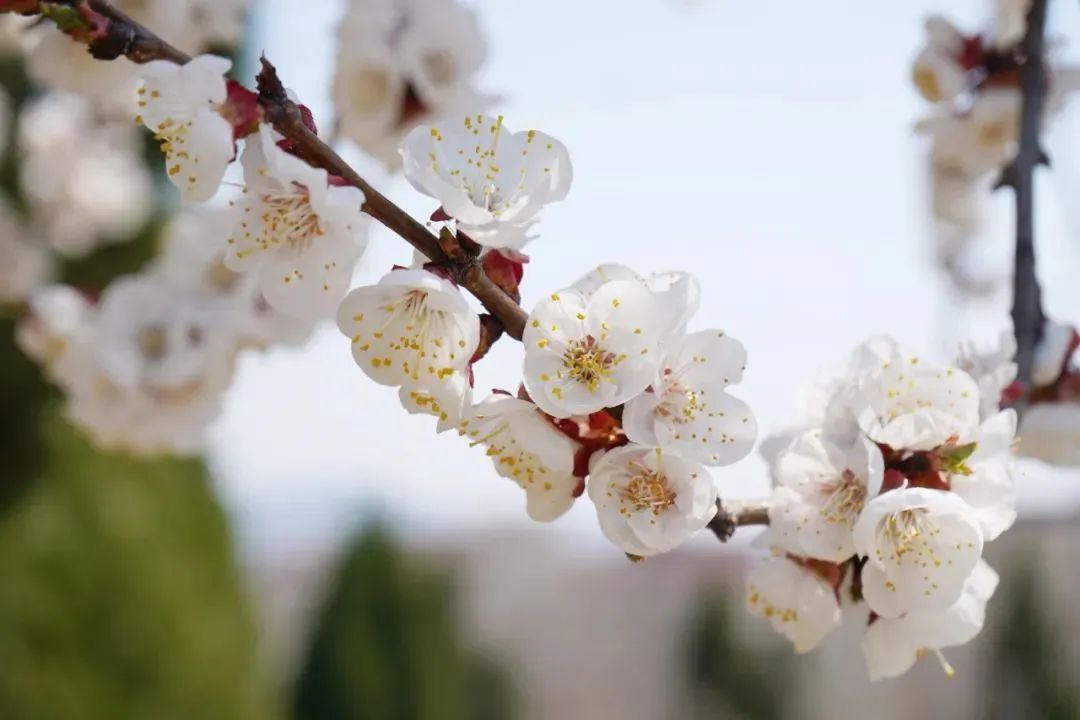 九五至尊VI-老品牌值得信任!