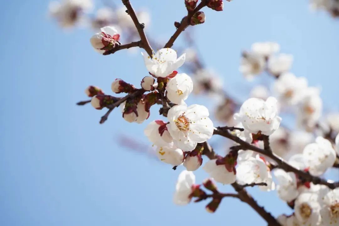 九五至尊VI-老品牌值得信任!