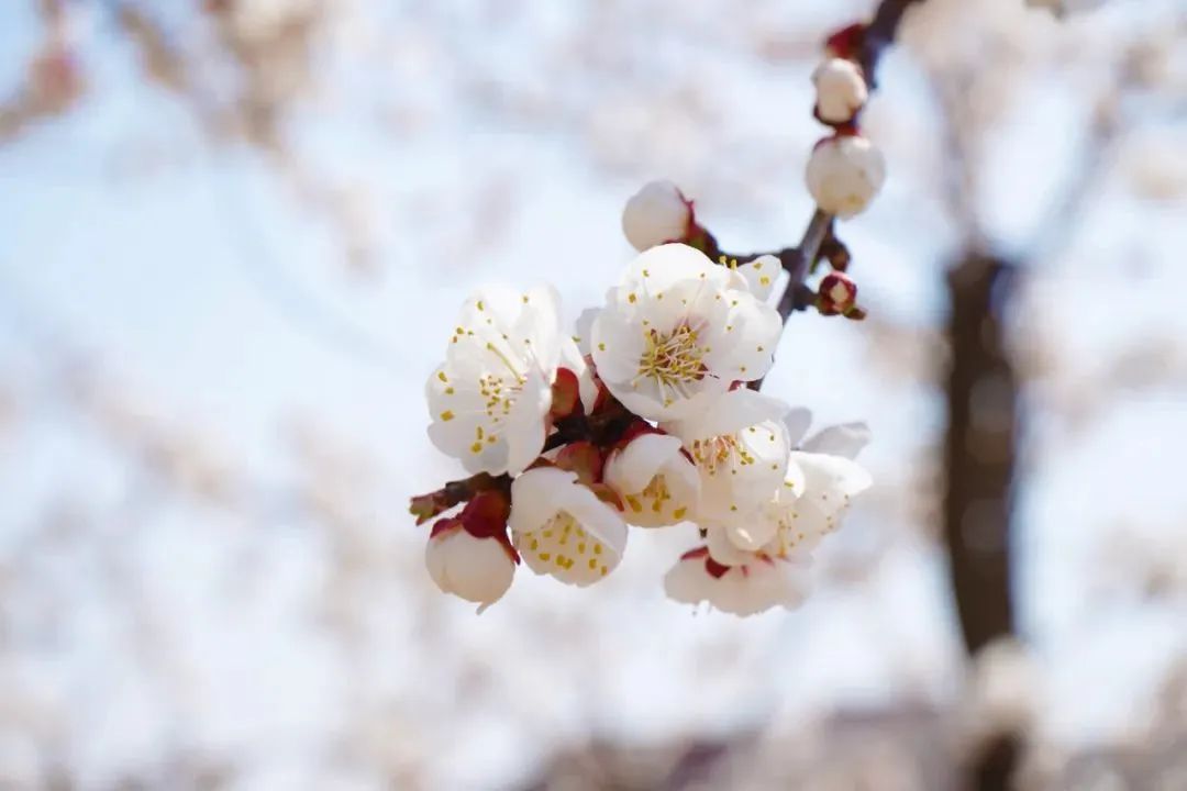 九五至尊VI-老品牌值得信任!