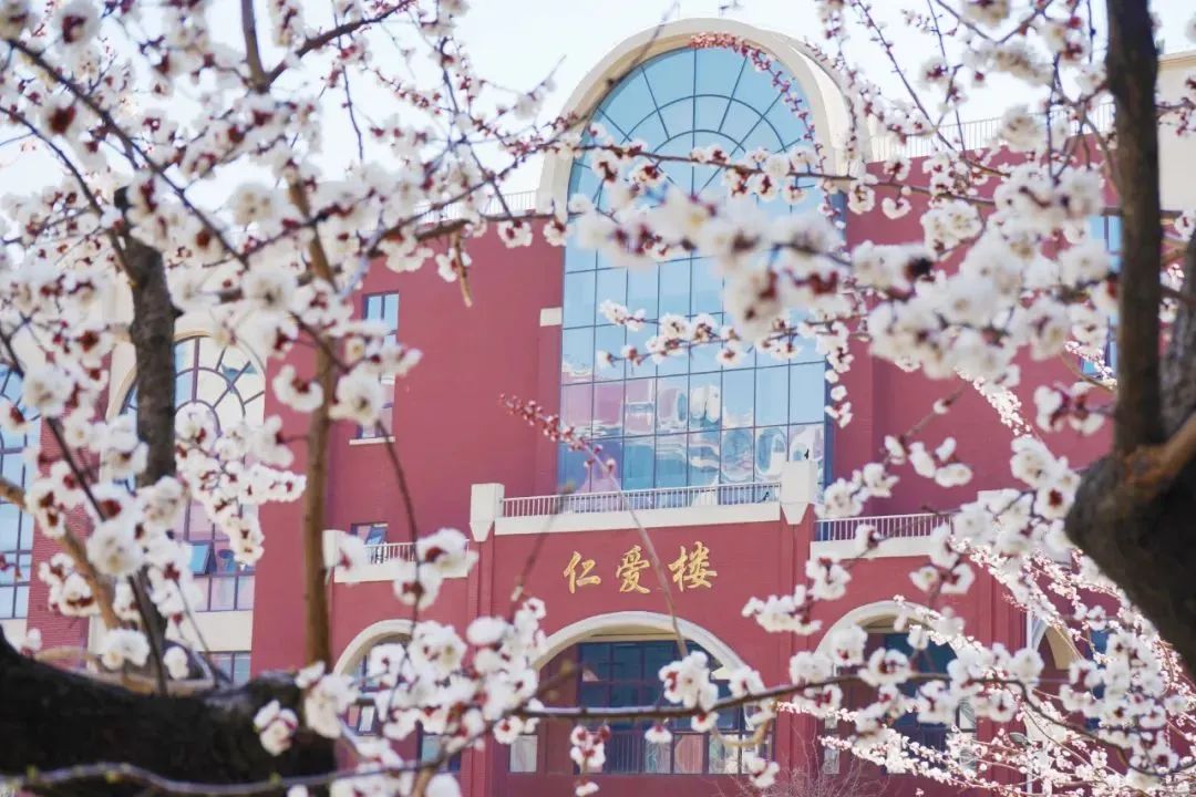 九五至尊VI-老品牌值得信任!