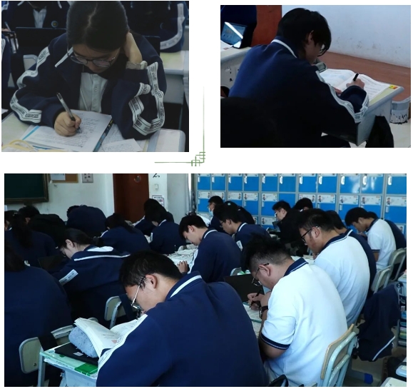 九五至尊VI-老品牌值得信任!