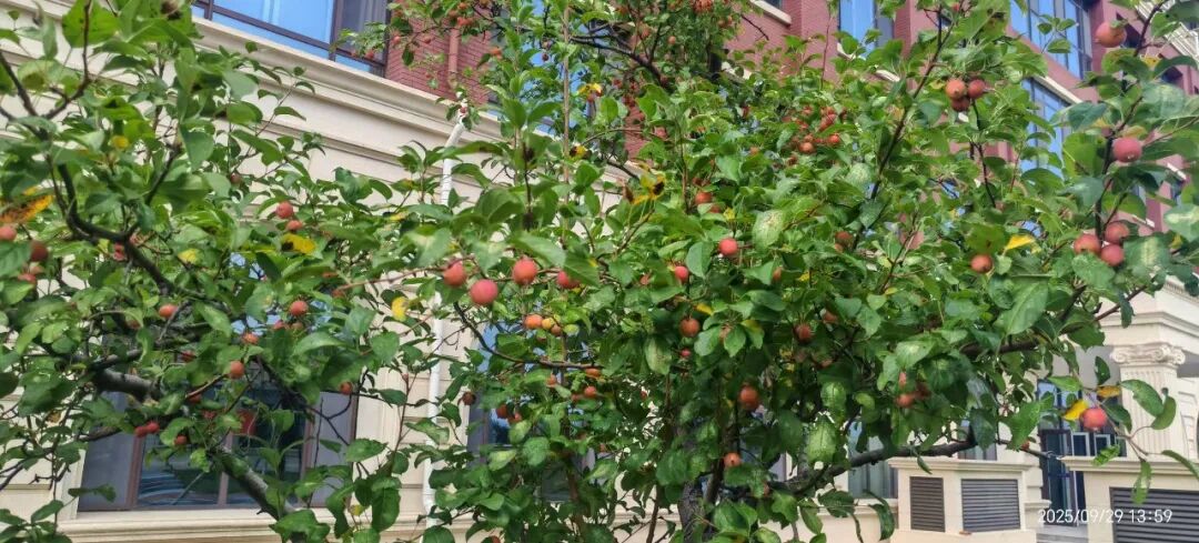 九五至尊VI-老品牌值得信任!