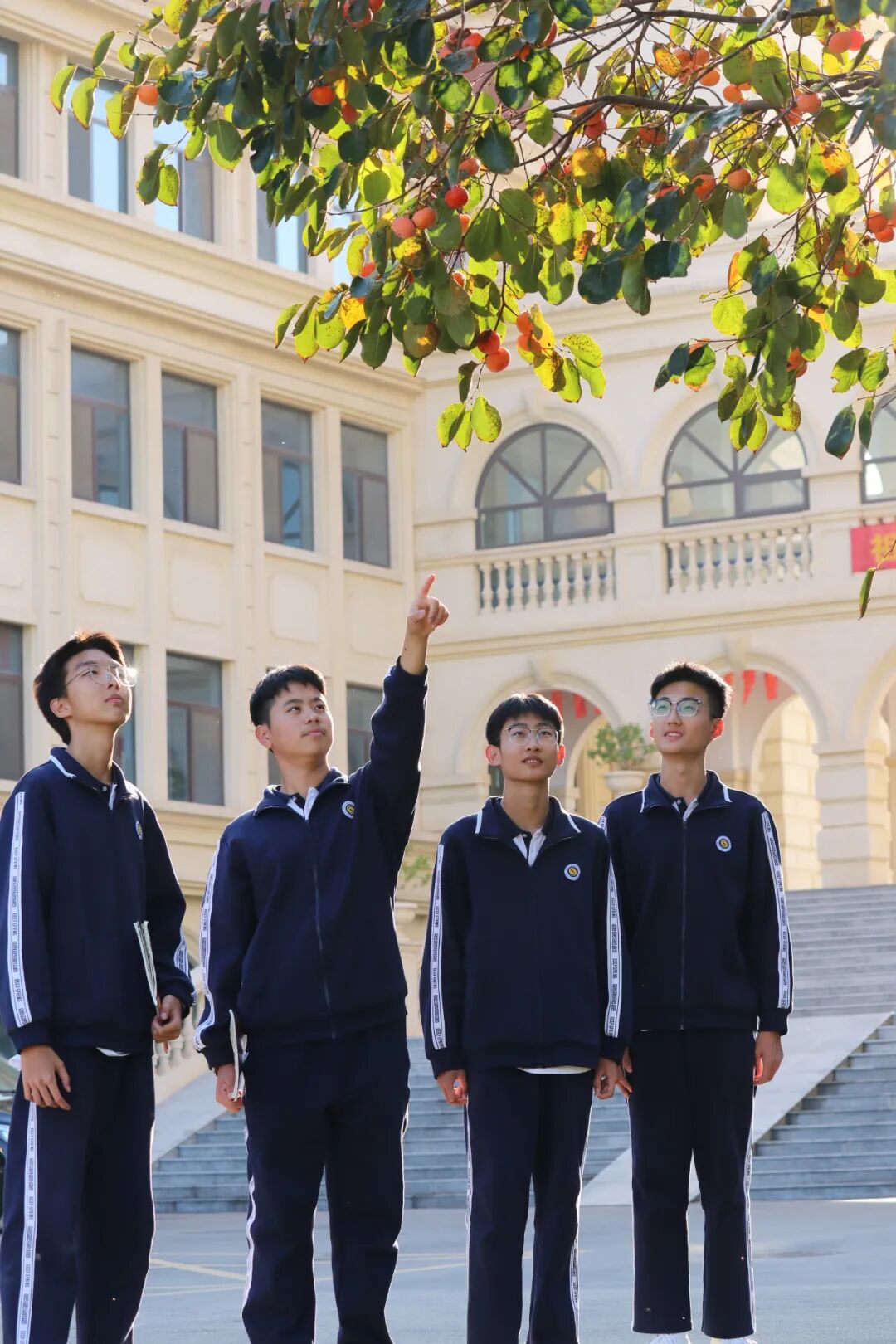 九五至尊VI-老品牌值得信任!