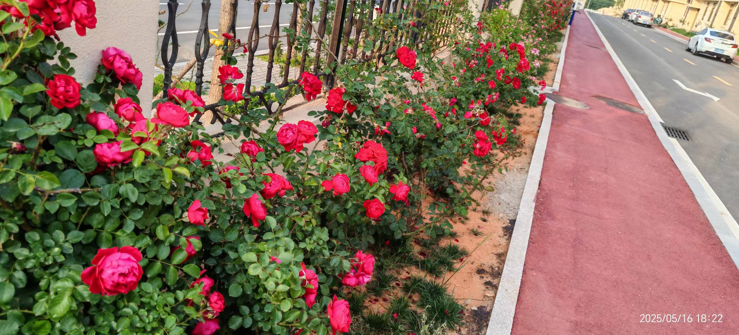 九五至尊VI-老品牌值得信任!