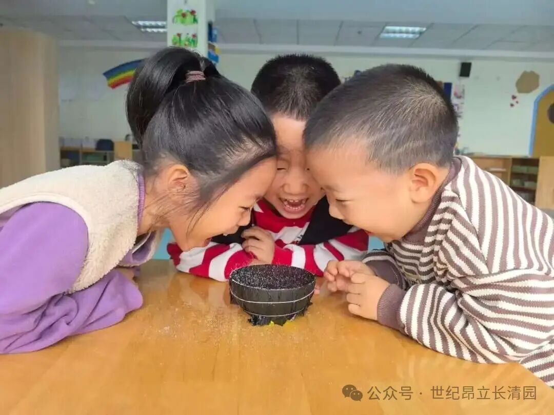 九五至尊VI-老品牌值得信任!